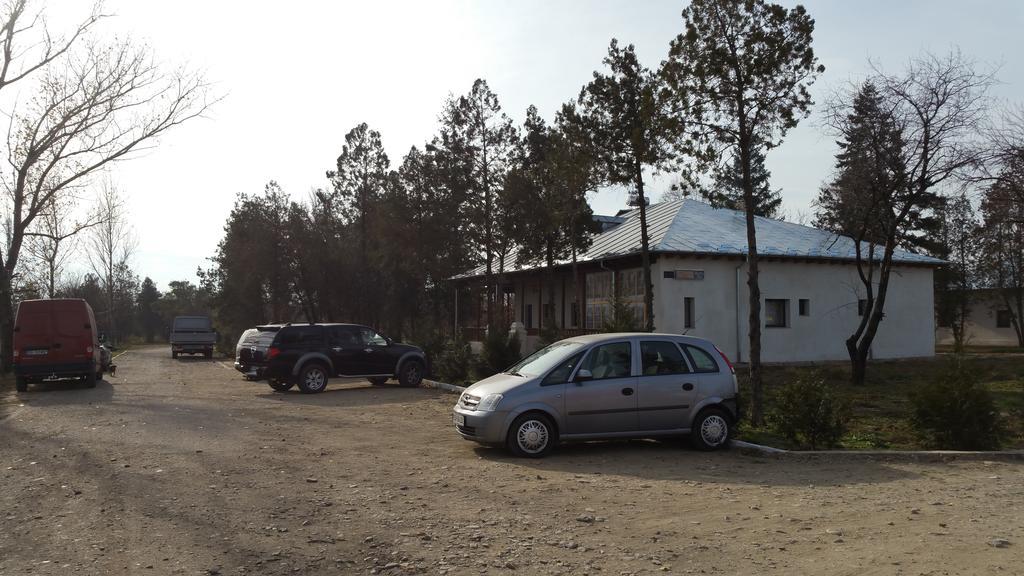 Conacul Balta Alba Hotel Exterior photo